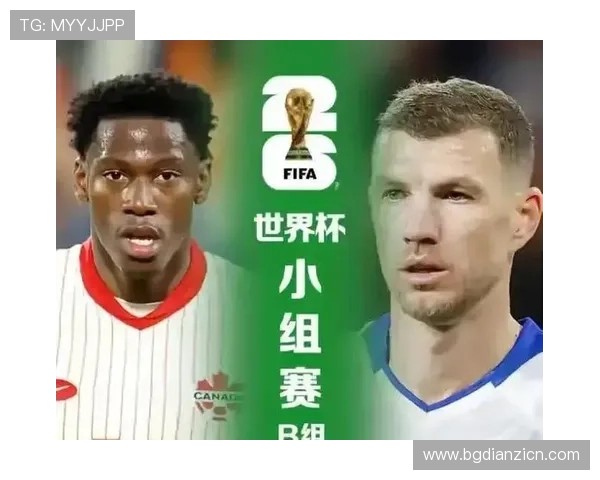 加拿大对波黑世界杯门票购买流程全解析:提前准备确保顺利入场的实用技巧